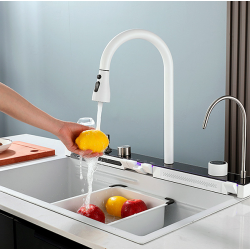 Мультифункциональная кухонная мойка iSink Белая A-21